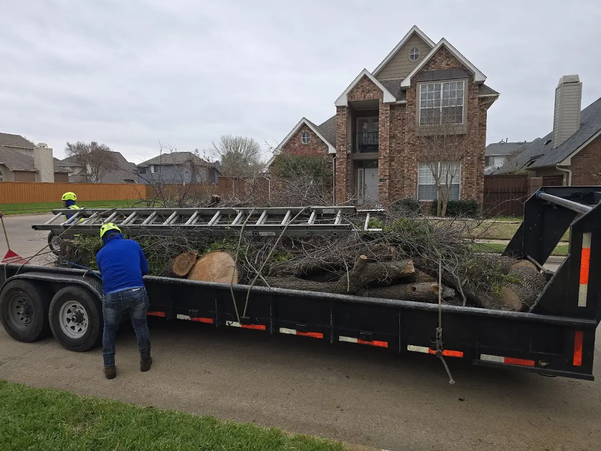 Expert Lot Clearing with proper safety equipment in Powers Lake